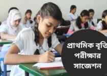 Primary Scholarship Exam suggestion