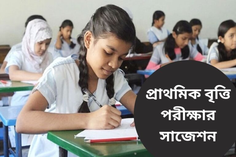 Primary Scholarship Exam suggestion