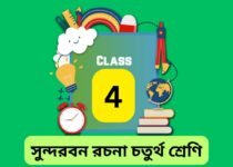Sundarban essay class 4