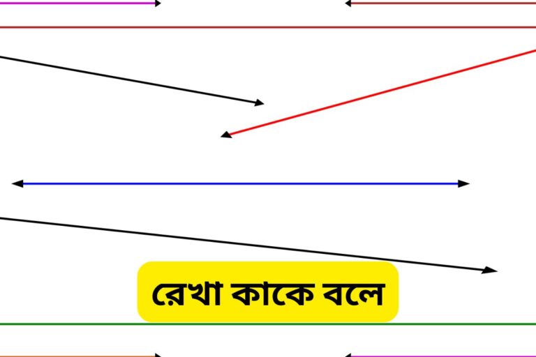 What is a line