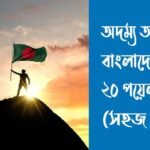 অদম্য অগ্রযাত্রায় বাংলাদেশ রচনা