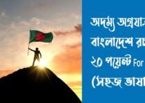 অদম্য অগ্রযাত্রায় বাংলাদেশ রচনা