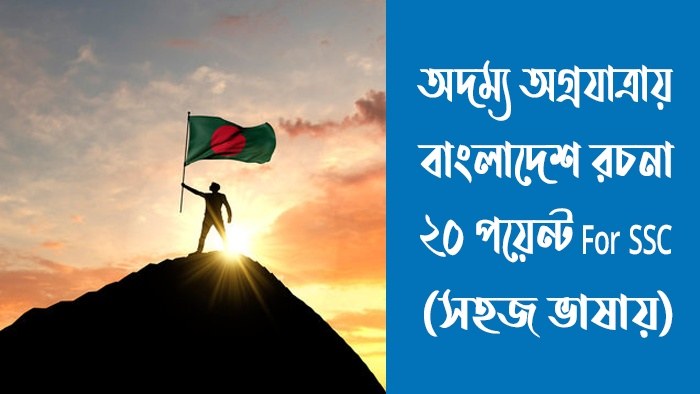 অদম্য অগ্রযাত্রায় বাংলাদেশ রচনা