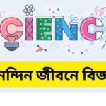 Science in everyday life essay