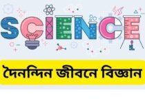 Science in everyday life essay