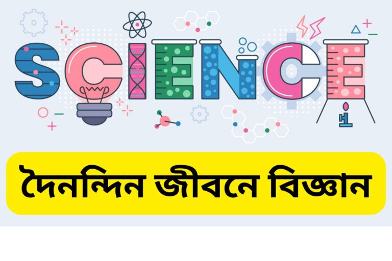 Science in everyday life essay