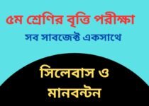 class 5 scholarship exam syllabus