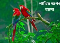 pakhir jagat rachana