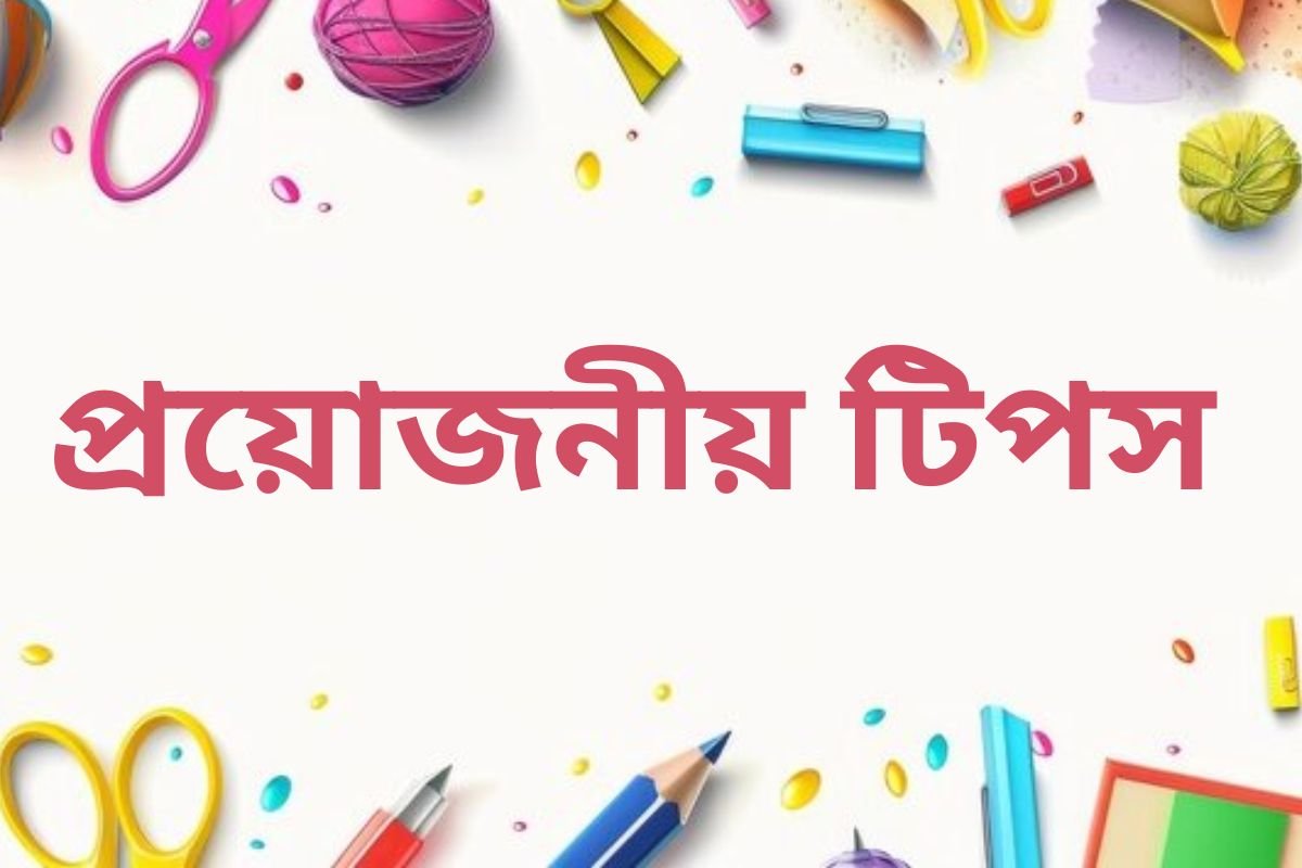 tips for writing an essay